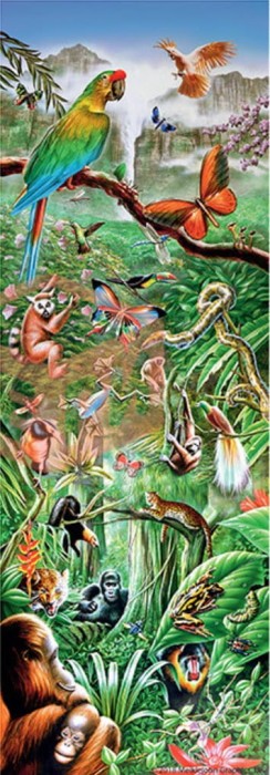 step-puzzle-jungle-jigsaw-puzzle-1000-pieces.82814-1.jpg