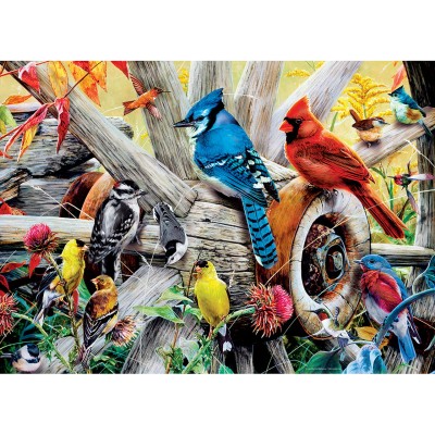 Master Pieces 1000 - Backyard Birds