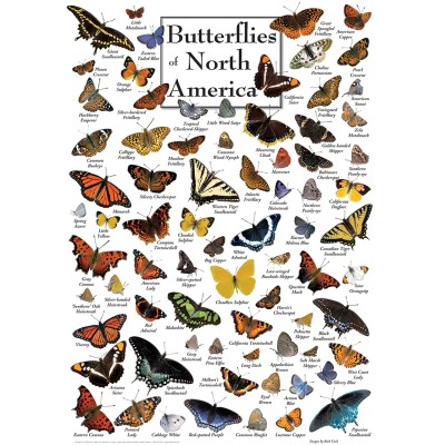 Master Pieces 1000 - Butterflies of North America