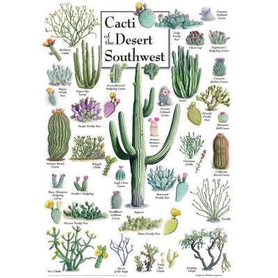 Master Pieces 1000 - Cacti of the Desert Southwest