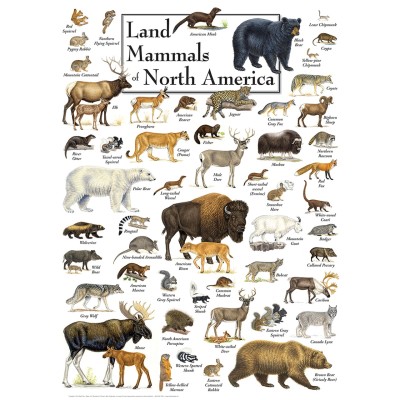 Master Pieces 1000 - Land Mammals of North America