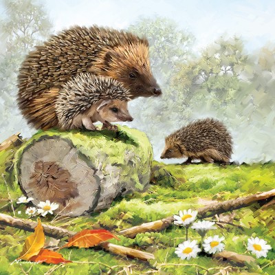 Otter House 1000 - Hedgehog Family