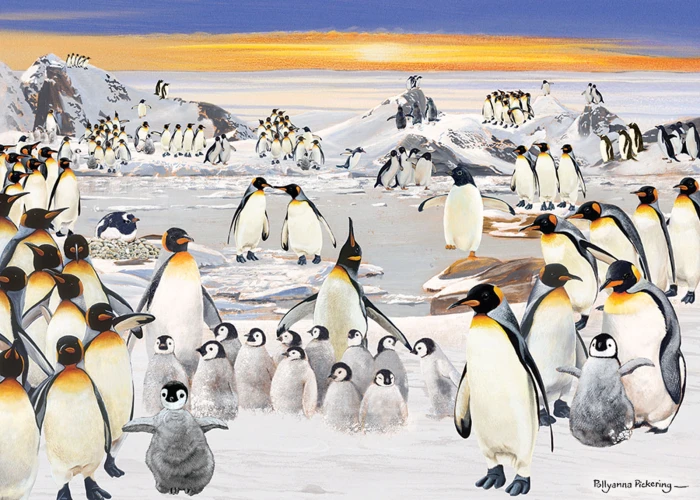 otter-house-puzzle-penguin-party-jigsaw-puzzle-1000-pieces.79368-1.fs.jpg