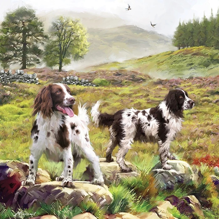 otter-house-puzzle-spaniels-on-the-moor-jigsaw-puzzle-1000-pieces.79365-1.fs.jpg