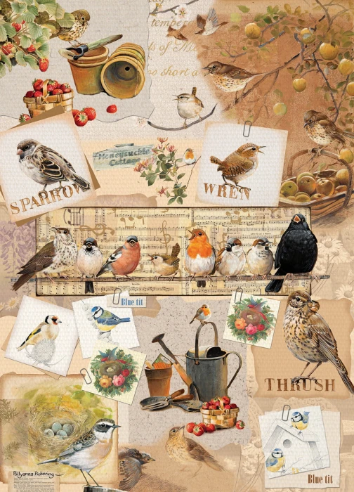 otter-house-puzzle-garden-birds-jigsaw-puzzle-1000-pieces.79332-1.fs.jpg