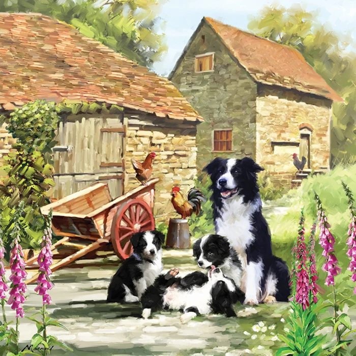 otter-house-puzzle-border-collie-barn-jigsaw-puzzle-1000-pieces.79341-1.fs.jpg