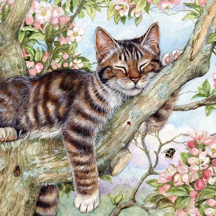 otter-house-puzzle-catnap-jigsaw-puzzle-1000-pieces.79360-1.fs.jpg