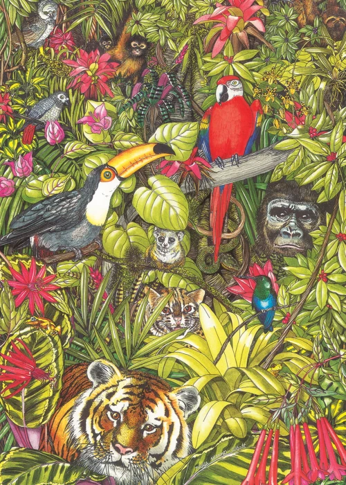 otter-house-puzzle-rainforests-of-the-world-jigsaw-puzzle-1000-pieces.79361-1.fs.jpg