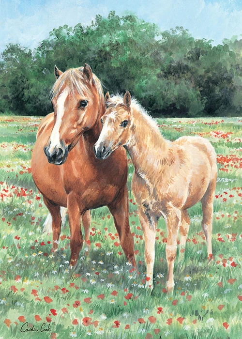 otter-house-puzzle-mother-foal-jigsaw-puzzle-1000-pieces.79337-1.fs.jpg