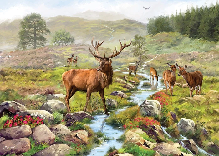 otter-house-puzzle-national-park-jigsaw-puzzle-1000-pieces.79369-1.fs.jpg