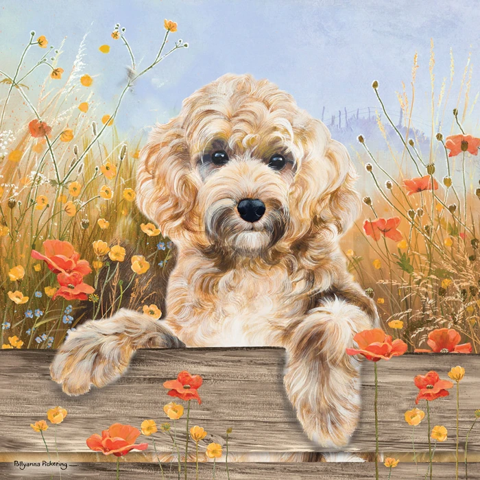 otter-house-puzzle-cockerpoo-view-jigsaw-puzzle-1000-pieces.79364-1.fs.jpg