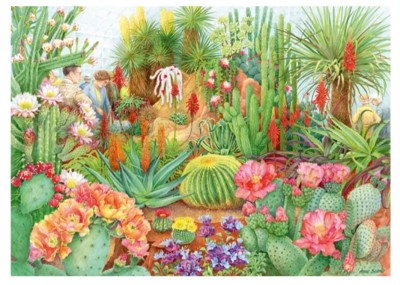 Falcon 1000 - Anne Searle, The Flower Show - Desert Plants