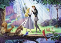 disney-sleeping-beauty-jigsaw-puzzle-1000-pieces.78173-1.fs.jpg