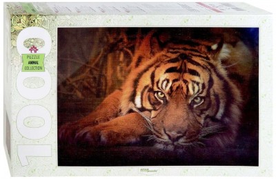 Step Puzzle 1000 - Siberian tiger