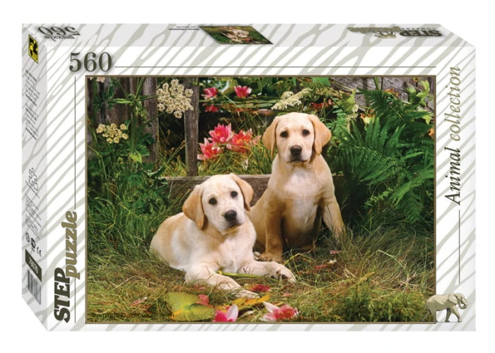 step-puzzle-labrador-puppies-jigsaw-puzzle-560-pieces.60268-1.fs.jpg
