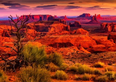 Bluebird 1500 - Monument Valley