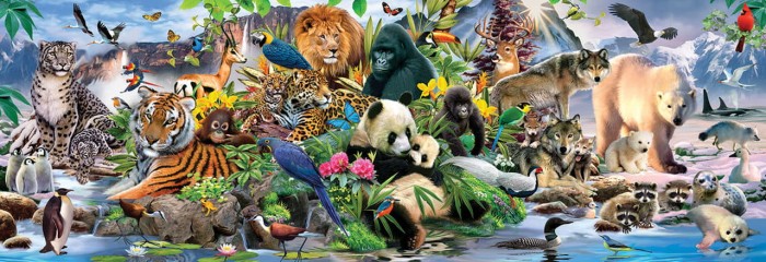around-the-world.80246-1.fs.jpg