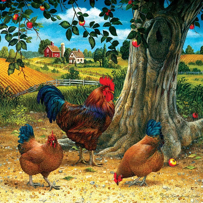 rooster-and-hens.80254-1.fs.jpg
