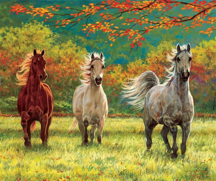 xxl-pieces-autumn-meadow-jigsaw-puzzle-500-pieces.80131-1.fs.jpg
