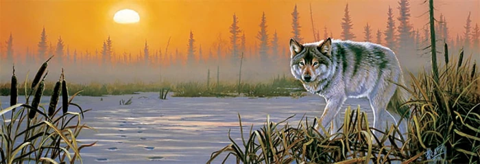 xxl-pieces-winter-sunrise-jigsaw-puzzle-500-pieces.80132-1.fs.jpg