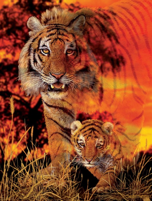 xxl-pieces-baby-steps-jigsaw-puzzle-500-pieces.80167-1.fs.jpg