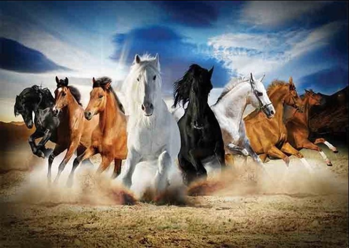 gold-puzzle-full-speed-gallop-jigsaw-puzzle-2000-pieces.53995-1.fs.jpg