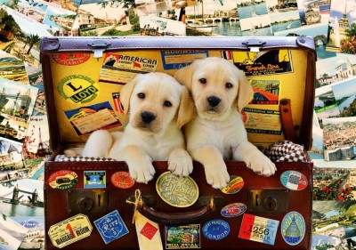 Bluebird 1000 - Two Travel Puppies