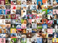 99-cats-jigsaw-puzzle-1500-pieces.74828-1.fs.jpg