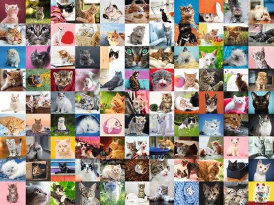 Ravensburger 1500 - 99 Cats