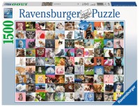 99-cats-jigsaw-puzzle-1500-pieces.74828-2.fs.jpg
