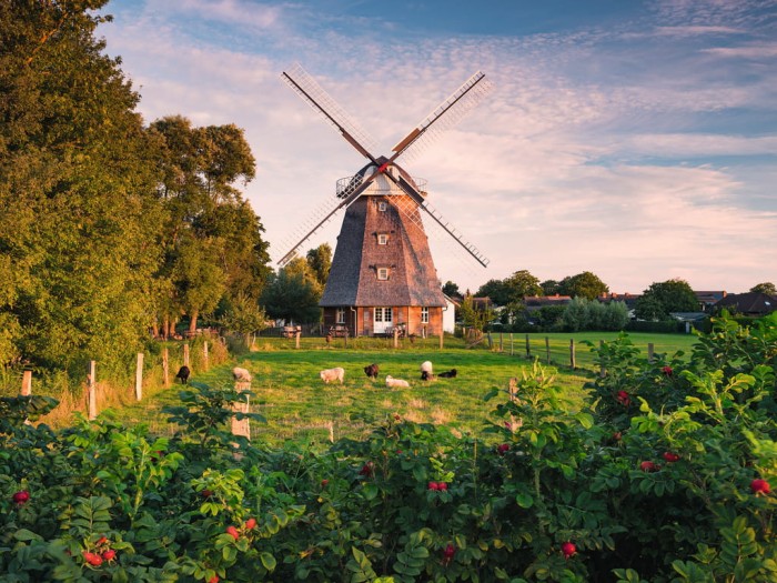 windmill-on-the-baltic-sea-jigsaw-puzzle-1500-pieces.65548-1.fs.jpg