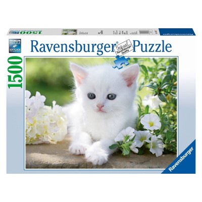 Ravensburger 1500 - White kitten