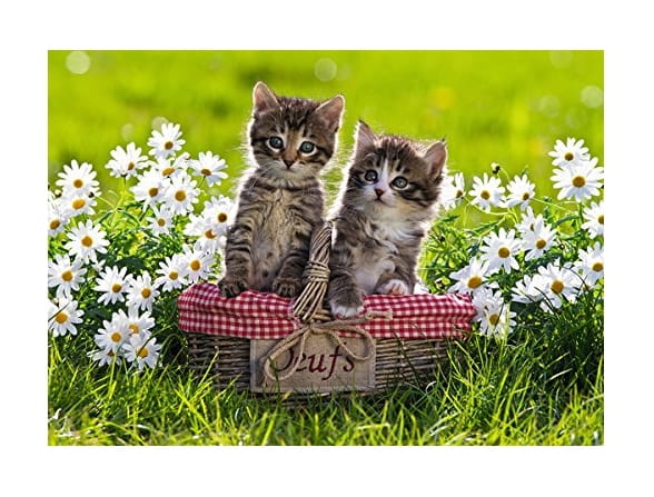 pique-nique-des-chatons-dans-la-prairie-puzzle-1000-pieces.47964-1.fs.jpg
