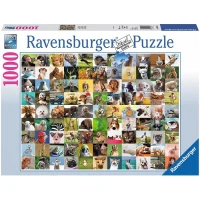 99-animaux-droles-puzzle-1000-pieces.55334-2.fs.jpg