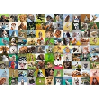 99-animaux-droles-puzzle-1000-pieces.55334-1.fs.jpg