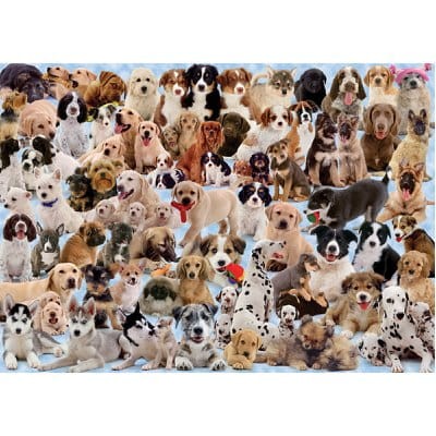Ravensburger 1000 - Dogs's Gallery (Wielka Rodzina Psów)