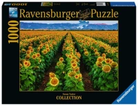 field-of-sunflowers-jigsaw-puzzle-1000-pieces.74823-2.fs.jpg