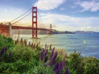 golden-gate-sunrise-jigsaw-puzzle-1000-pieces.8304-1.fs.jpg