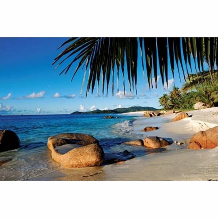 jigsaw-puzzle-1000-pieces-behind-the-palm-trees.10140-1.fs.jpg