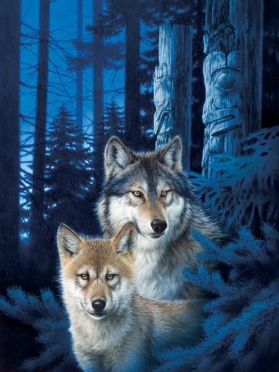 cobble-hill-outset-media-wolf-canyon-jigsaw-puzzle-1000-pieces_65027-1.jpg