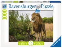nature-edition-no-14-lion-jigsaw-puzzle-1000-pieces.65545-2.fs.jpg