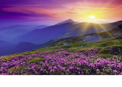 Ravensburger 1000 - Nature Edition NÂ°3 - Early Morning  (Górskie łąki w świcie)Mountains