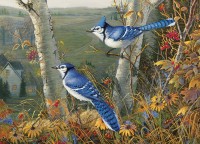 cobble-hill-outset-media-blue-jays-jigsaw-puzzle-1000-pieces_64967-1_fs.jpg