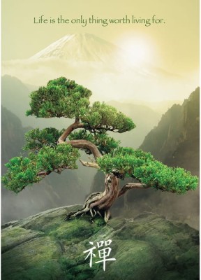 Ravensburger 1000 - The Zen tree (Drzewo Zen)