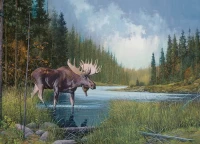 cobble-hill-outset-media-moose-lake-jigsaw-puzzle-1000-pieces_58260-1_fs.jpg