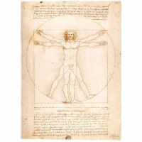 jigsaw-puzzle-1000-pieces-leonardo-da-vinci-the-vitruvian-man.668-1.fs.jpg