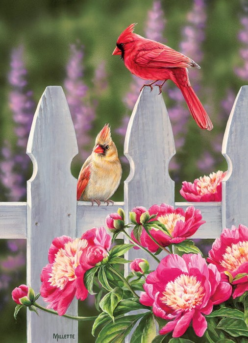 cobble-hill-outset-media-cardinals-and-peonies-jigsaw-puzzle-1000-pieces_64957-1_fs.jpg