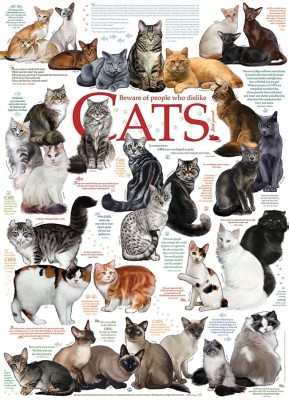 Cobble Hill 1000 - Cat Quotes