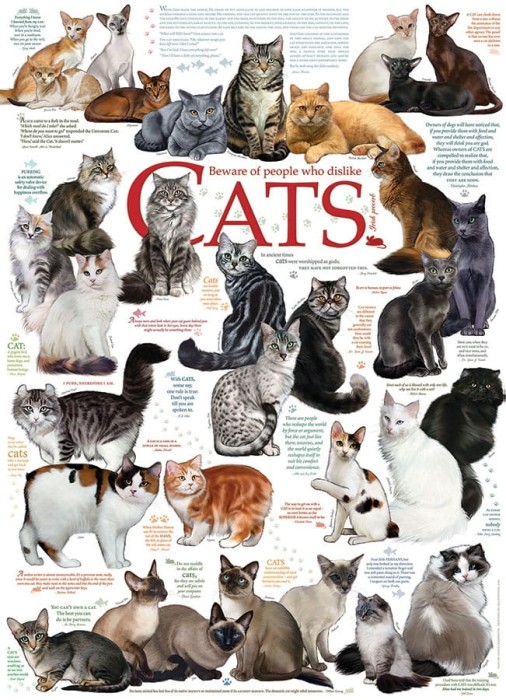 cobble-hill-outset-media-cat-quotes-jigsaw-puzzle-1000-pieces_56140-1_fs.jpg