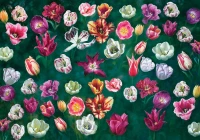tulip-garden-ks-games.80432-1.fs.jpg